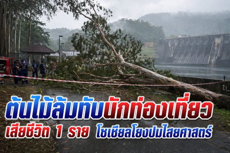 ต้นยูคาพัดทับนักท่องเที่ยว เขื่อนลำนางรอง — เสียชีวิต 1 ราย โซเชียลตั้งคำถามเรื่องไสยศาสตร์